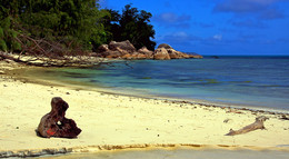 On the island of La Digue / ***