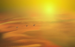 Ships of the desert ... / ***