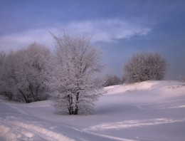 In winter in Kolomna / * * *