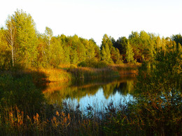 At the forest lake / ***