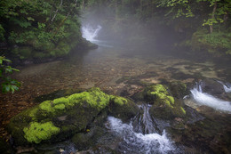 Green mist / ***