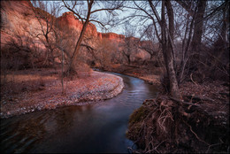 Last day of autumn / ***