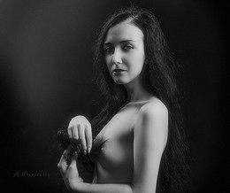 Black and white portrait., Krivitsky / ***