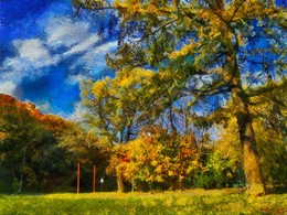 Pine tree by the road. / ***