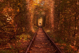 A light in the end of a tunnel... / ***