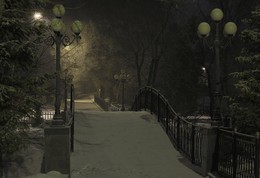 night in the park / ***