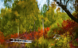 Watercolor / ***