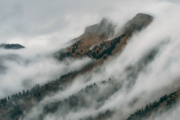 Around the fog, the fog! / ***