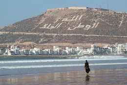 Lonely girl on the winter beach / ***