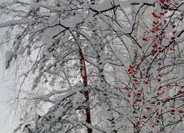 Winter etude / ***