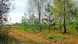 beginning of autumn / ***