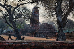 Foggy morning in Ayutthaya / ***