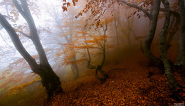 The way the light is long and winding ... / ***