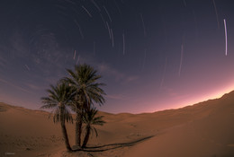 In sandy steppes Moroccan land ... / ***