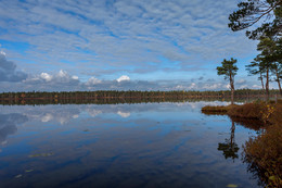 Autumn reflection ... / ***