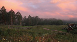 Pink morning / ***