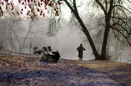 Fog urchins .. / ***