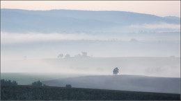 Morning in Moravia / ***