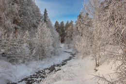 Frosty day / ***