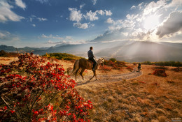 The charm of spring Crimea / ***