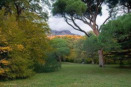 Autumn in the park Vorontsov / ***