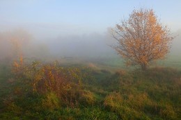 Autumn landscape and still life. / ***