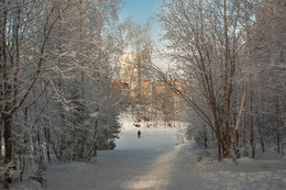 Cold noon / ***
