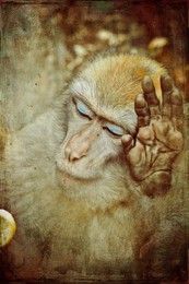 Leave me alone I'm an old woman in mourning / ***