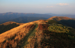 Carpathians. Ridge red. / ***