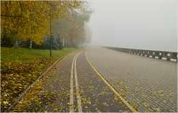 in the autumn mist / ***