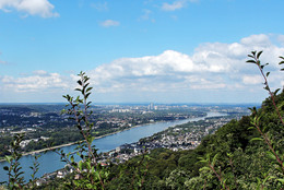 Below us Rhine / ***