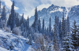 winter landscape / ***
