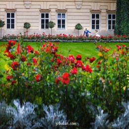 Romantic photo / ***