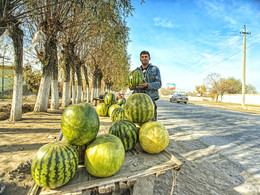 December watermelons ... Kurgan-Tube. Tajikistan / ***