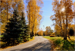 beautiful autumn afternoon on the bike path / ***