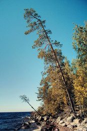 somewhere in Karelia / No comments.