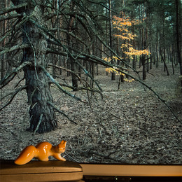 Belka wants the forest / [img]http://s020.radikal.ru/i707/1512/bd/248a0a62dfd7.jpg[/img]
