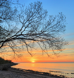 Sunset / ***