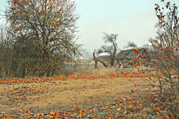 Abandoned and forgotten / ***