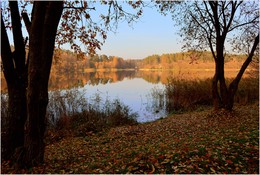 walk along the shore of the autumn / ***