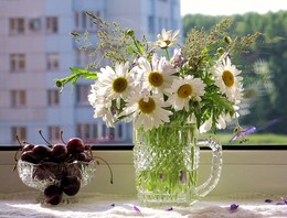 Invited guests in summer / ***