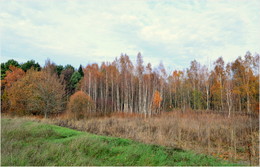 colors of autumn / ***