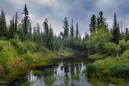 Taiga lake / ***