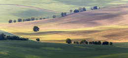 Moravian landscape / ***