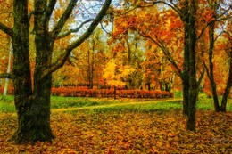 Autumn Park. / ***