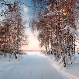 winter road / ***
