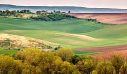 Moravian landscape 2. / ***