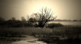 Winter im Oderbruch / Das Oderbruch (von mhd. bruoch: ‚Sumpf‘, ‚Moor‘) ist ein Binnendelta der Oder im Landkreis Märkisch-Oderland des Bundeslandes Brandenburg und Polen.

https://de.wikipedia.org/wiki/Oderbruch