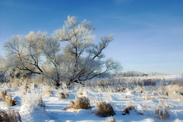 Dawn, Frost ..... / ***