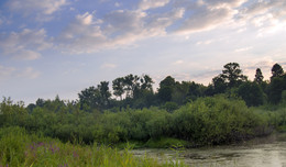 Dawn had abandoned pond / ***